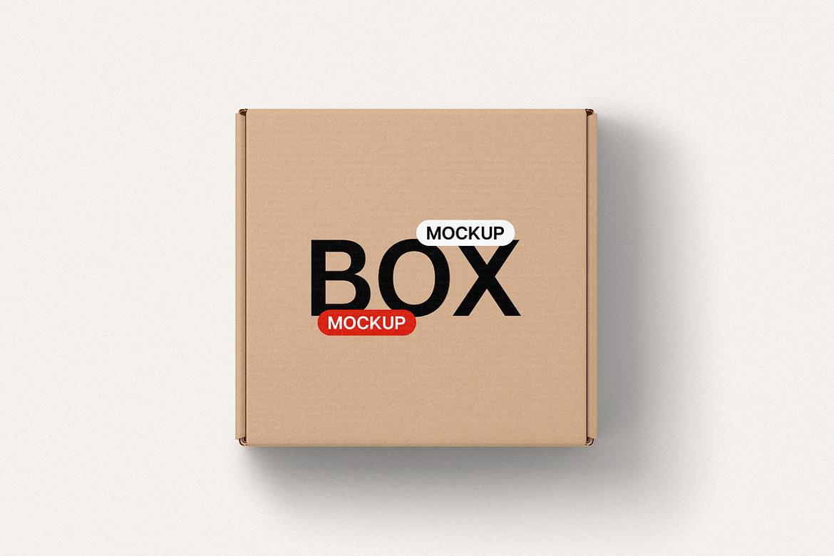 Package Mockup