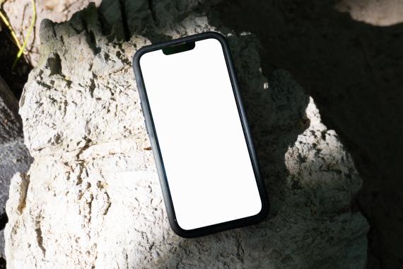 40+ Tropical iPhone Mockups - Island Edition