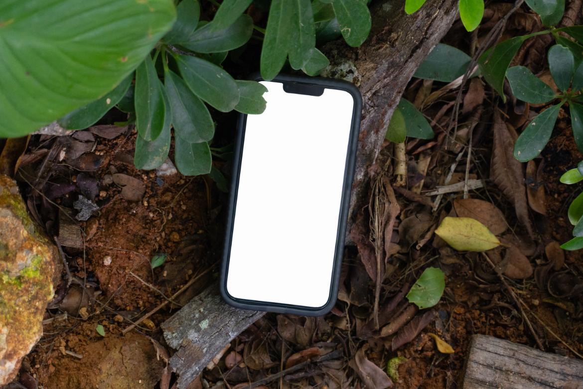 40+ Tropical iPhone Mockups - Island Edition