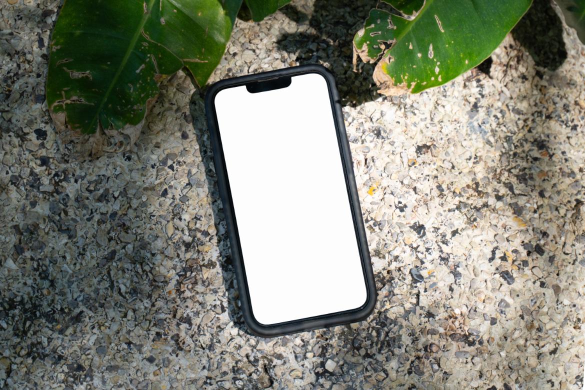 40+ Tropical iPhone Mockups - Island Edition