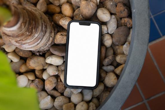 40+ Tropical iPhone Mockups - Island Edition