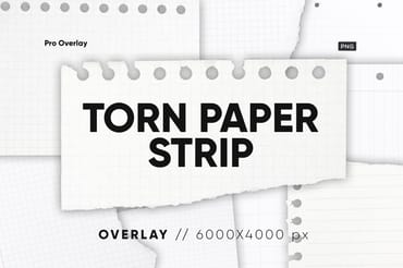 20 Torn Paper Strip Textures
