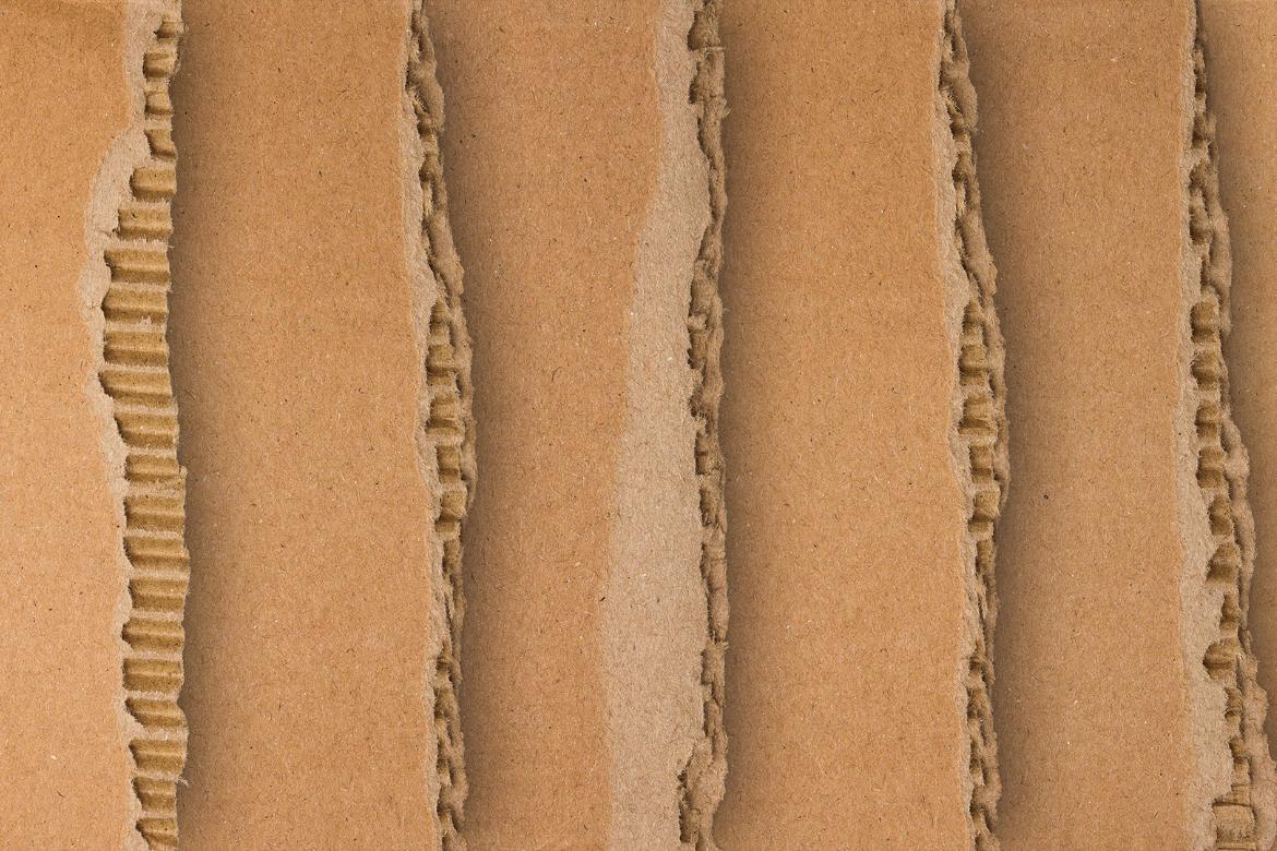 20 Ripped Cardboard Overlay