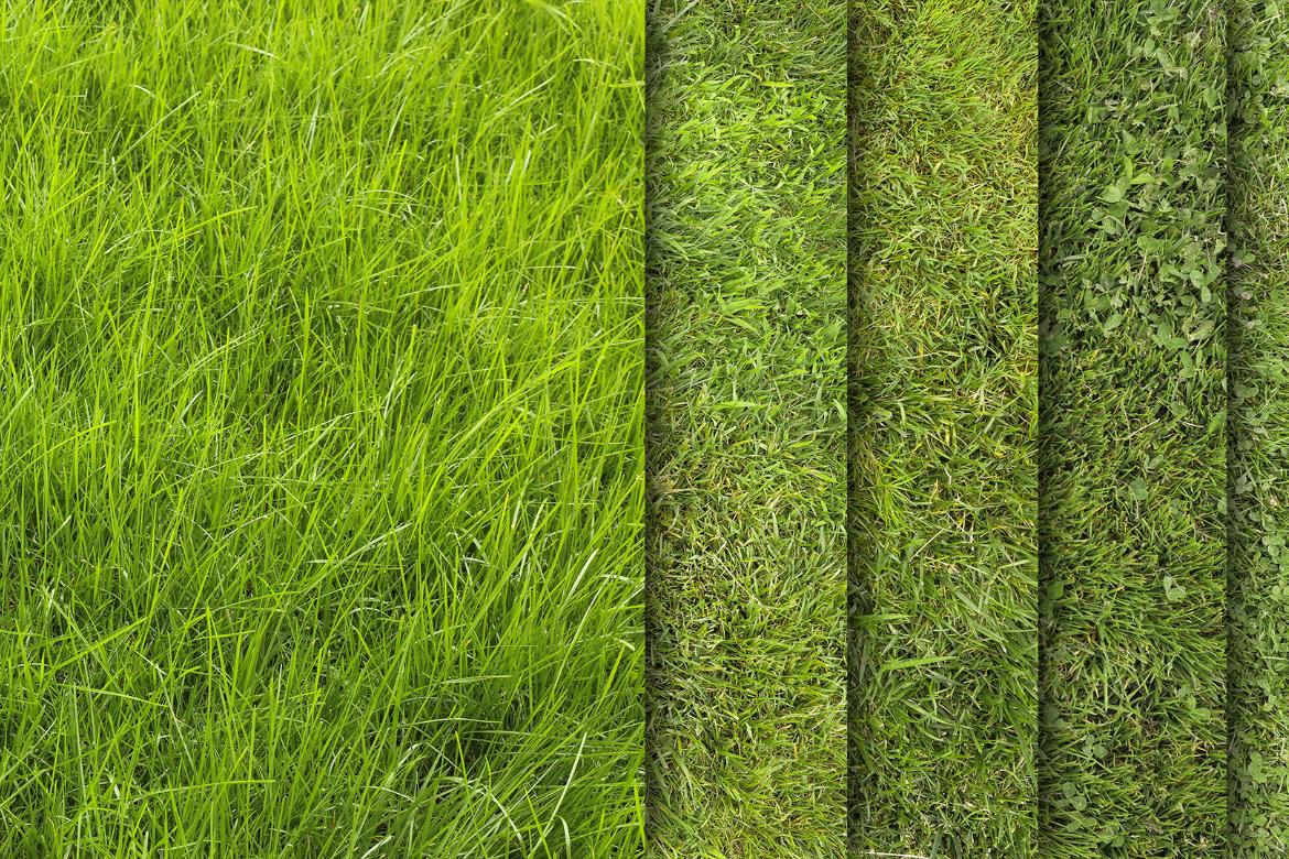 30 Grass Texture HQ