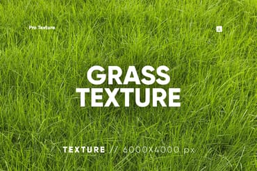 30 Grass Texture HQ