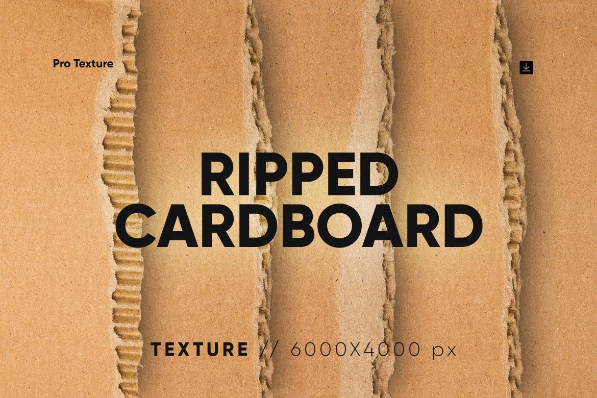 20 Ripped Cardboard Overlay