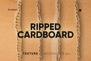 20 Ripped Cardboard Overlay