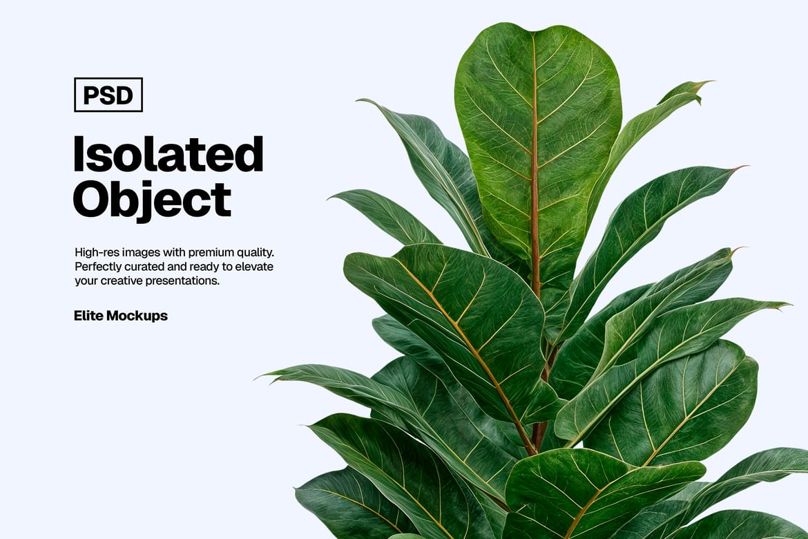 Indoor Plant PSD Bundle – 7 Isolated Pots