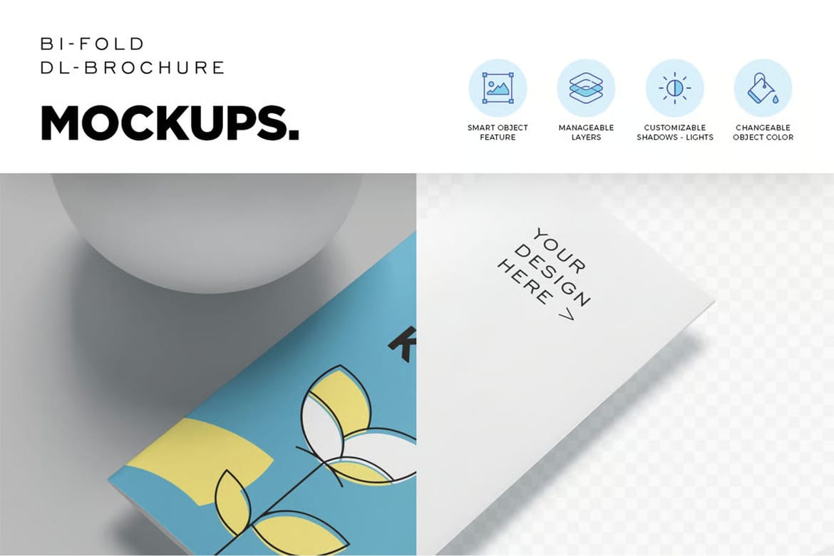 2 Fold DL Size Brochure Mockups