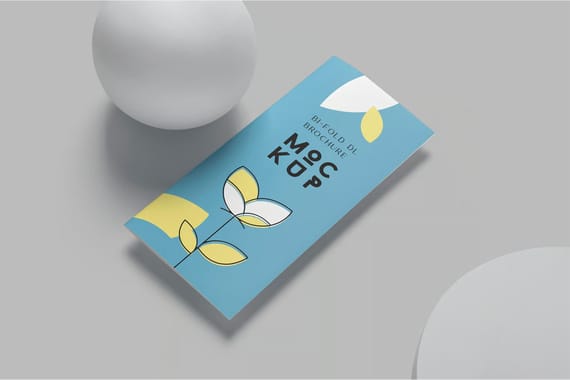2 Fold DL Size Brochure Mockups