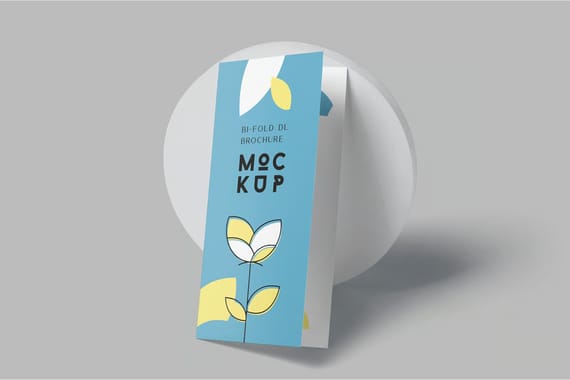 2 Fold DL Size Brochure Mockups