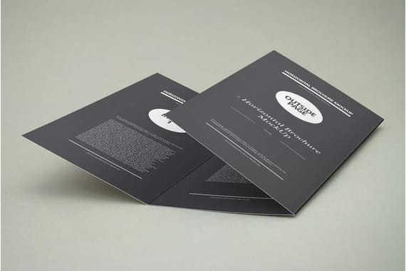 3xDL Brochure Mock-up