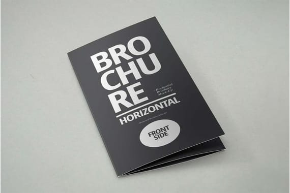 3xDL Brochure Mock-up
