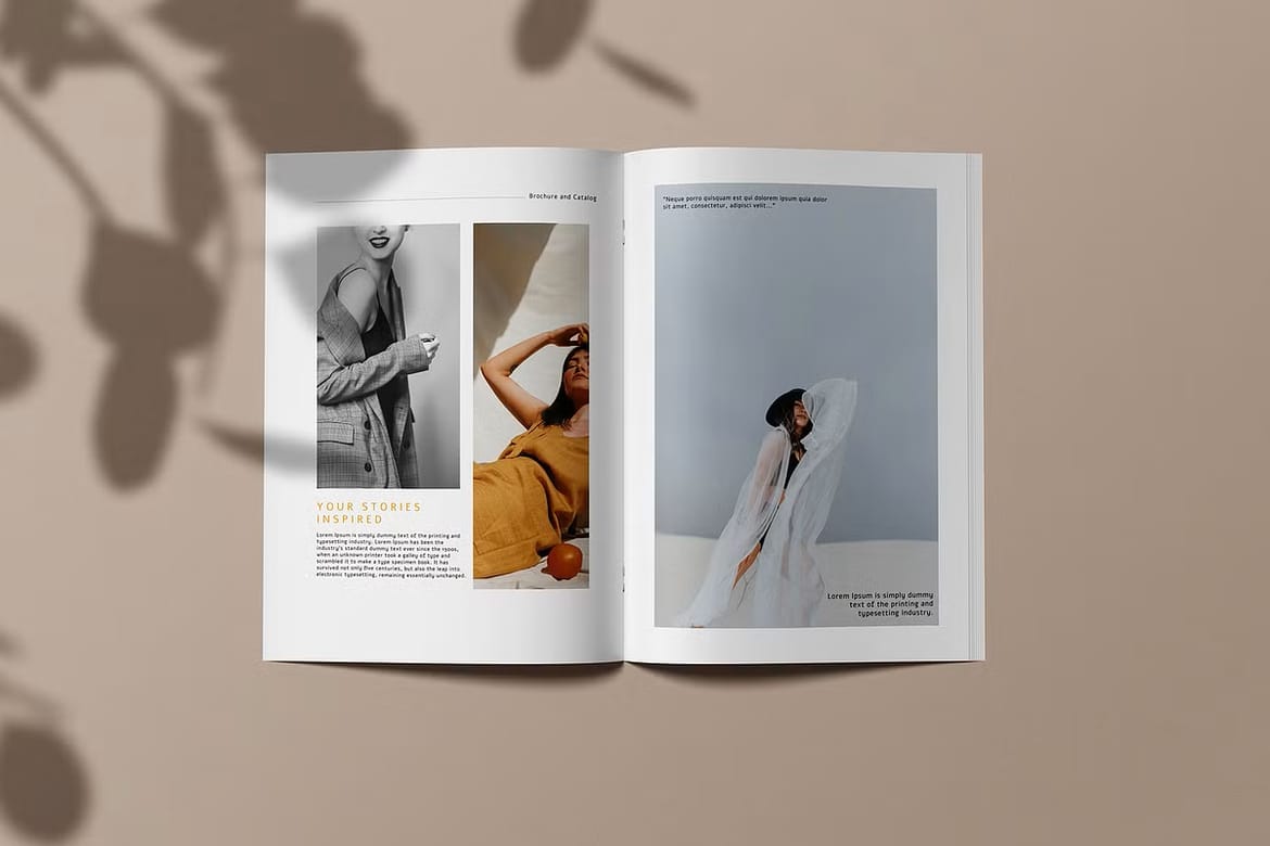 Brochure Catalog Magazine Mockup