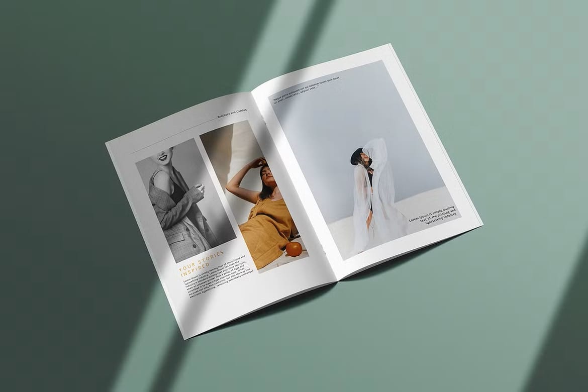 Brochure Catalog Magazine Mockup