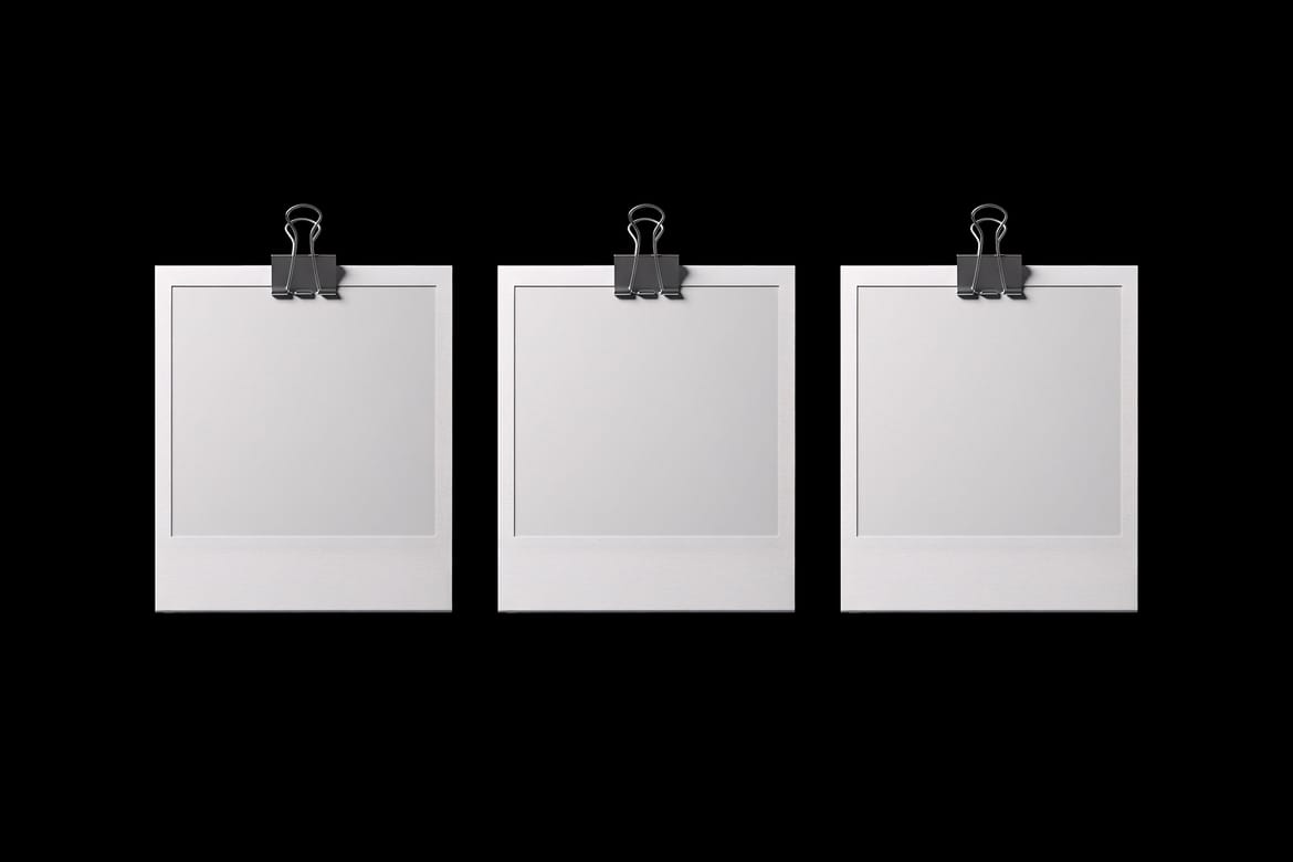 Prodigo Branding Mockup
