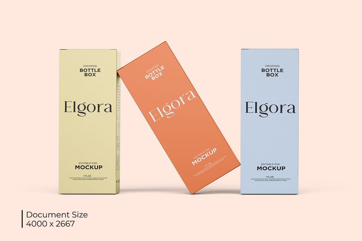 Cosmetic Dropper Bottle with Box Mockup