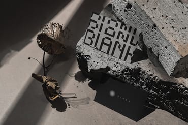 Aesthetic Dual Card & Dry Flower Mockup