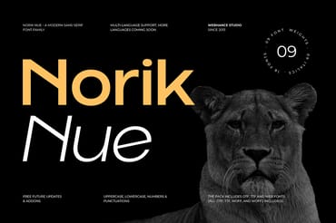 Norik Nue - A Modern Sans-serif Font