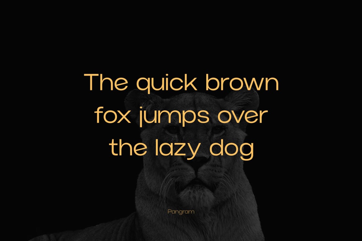 Norik Nue - A Modern Sans-serif Font