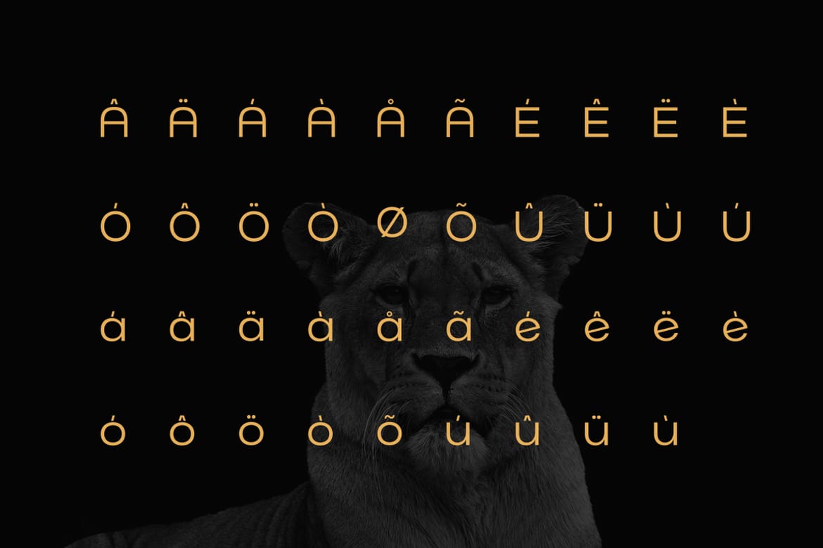 Norik Nue - A Modern Sans-serif Font