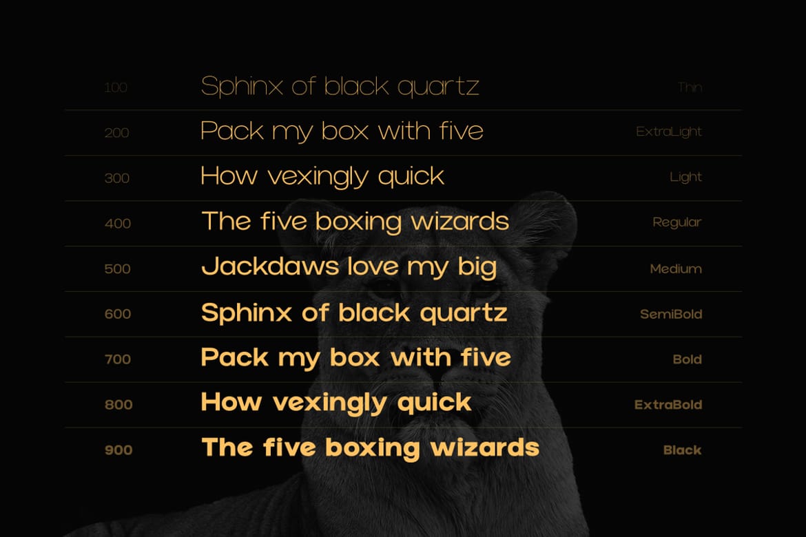 Norik Nue - A Modern Sans-serif Font