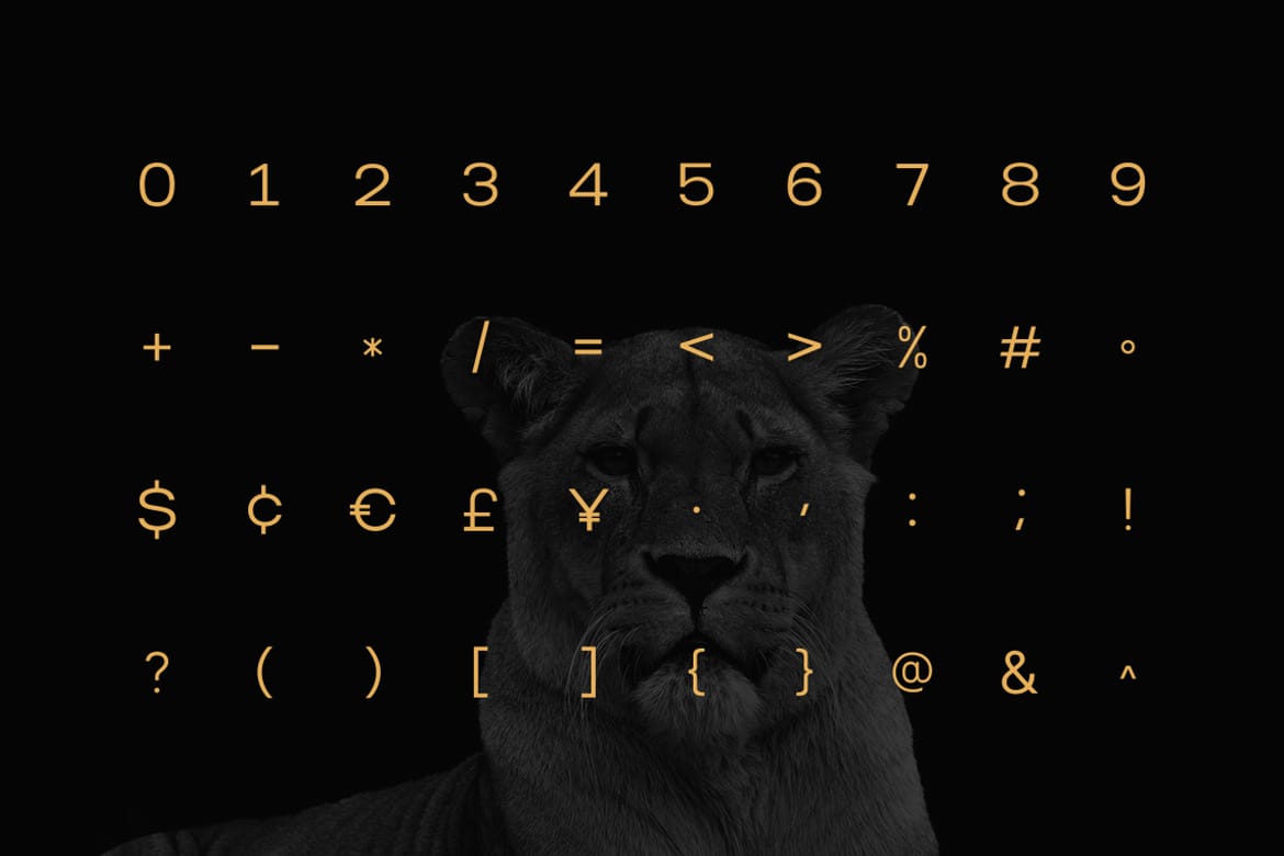 Norik Nue - A Modern Sans-serif Font