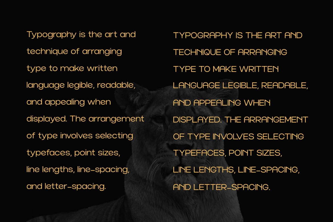 Norik Nue - A Modern Sans-serif Font
