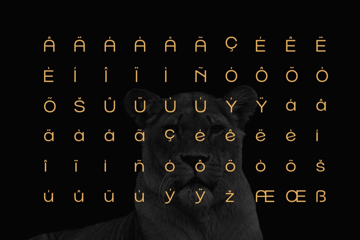 Norik Nue - A Modern Sans-serif Font