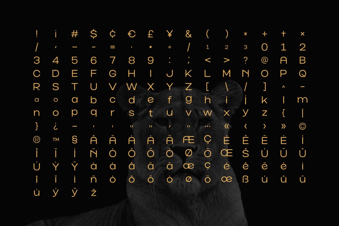 Norik Nue - A Modern Sans-serif Font