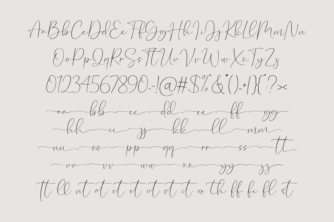 Marlotte | Modern Calligraphy Script