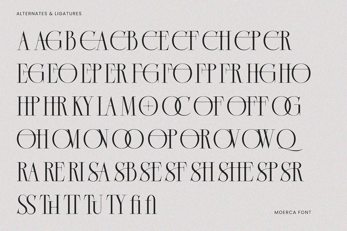 Moerca | Modern Classy Serif