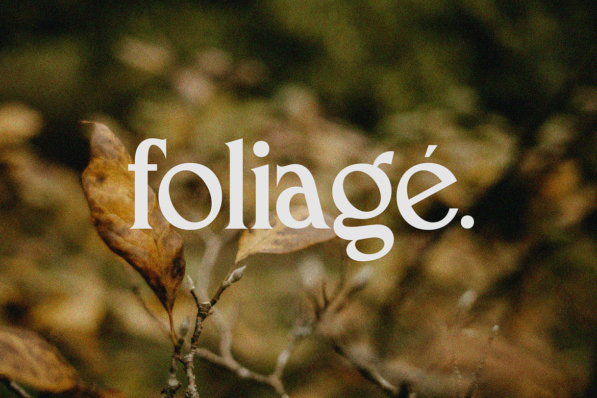 Macchiola | Vintage Display Serif