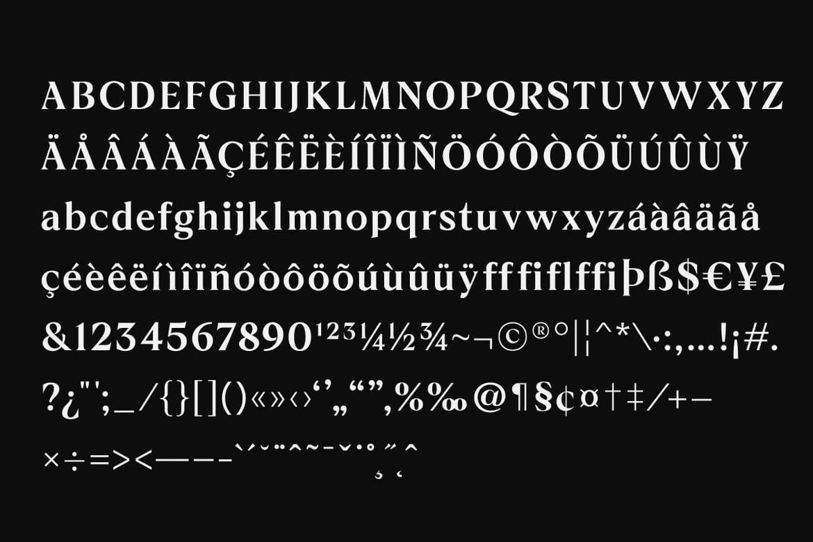 Bronie – Serif Classic Font