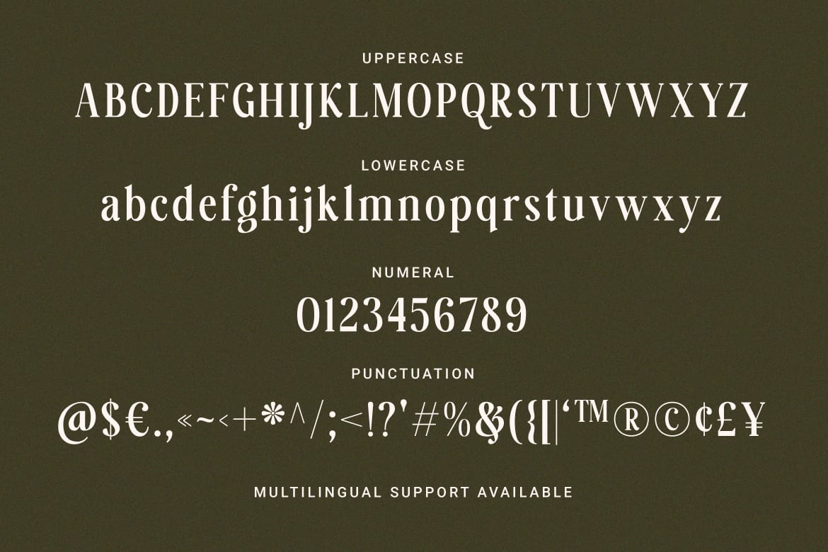 Native Stories - Classic Serif Font