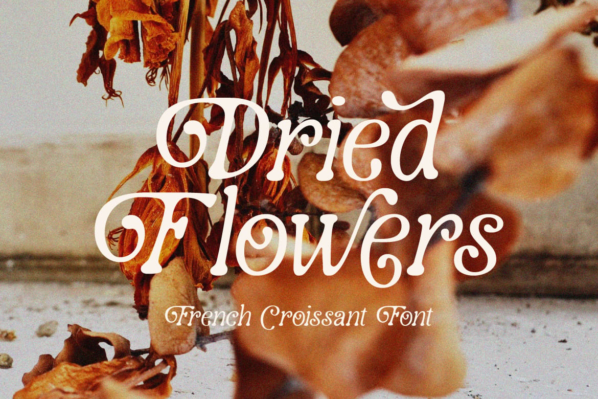 French Croissant Typeface