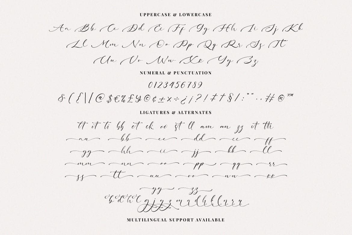 Darling Buttery - Modern Script Font