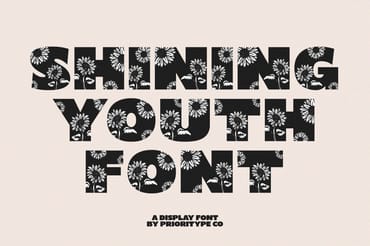 Shining Youth – Display Font