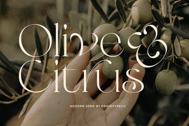 Olive & Citrus - Modern Serif