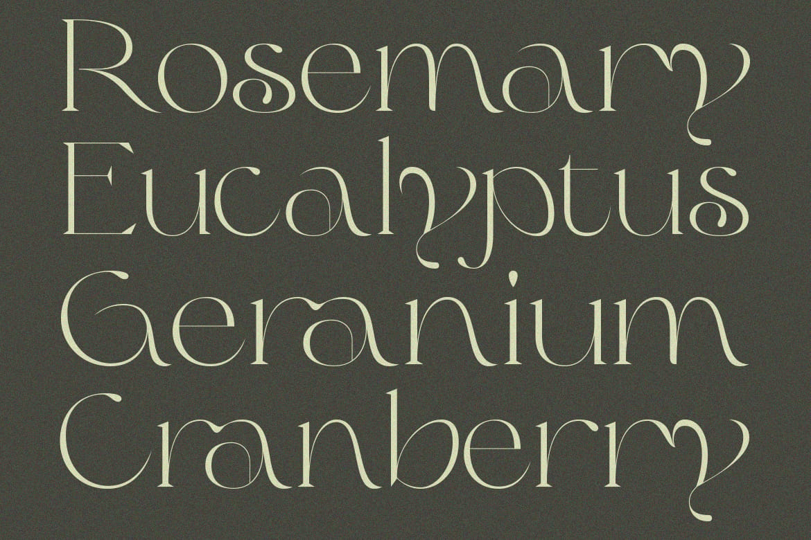 Olive & Citrus - Modern Serif