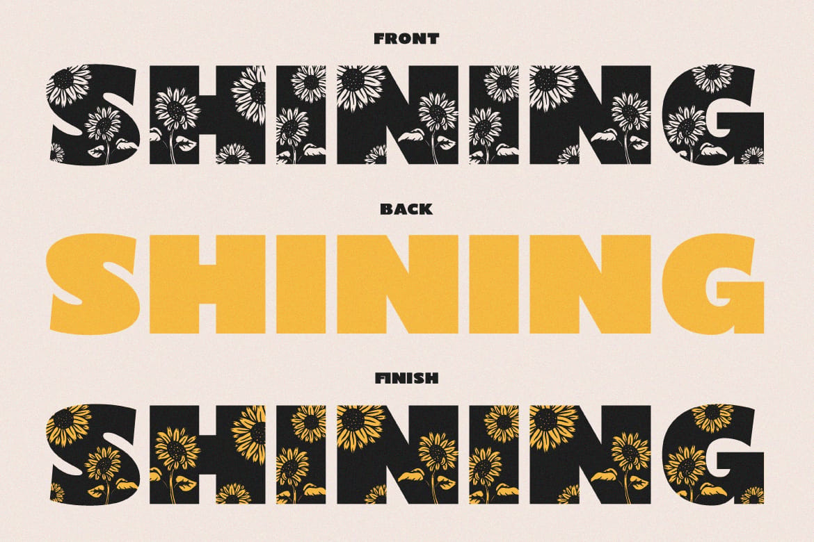 Shining Youth – Display Font