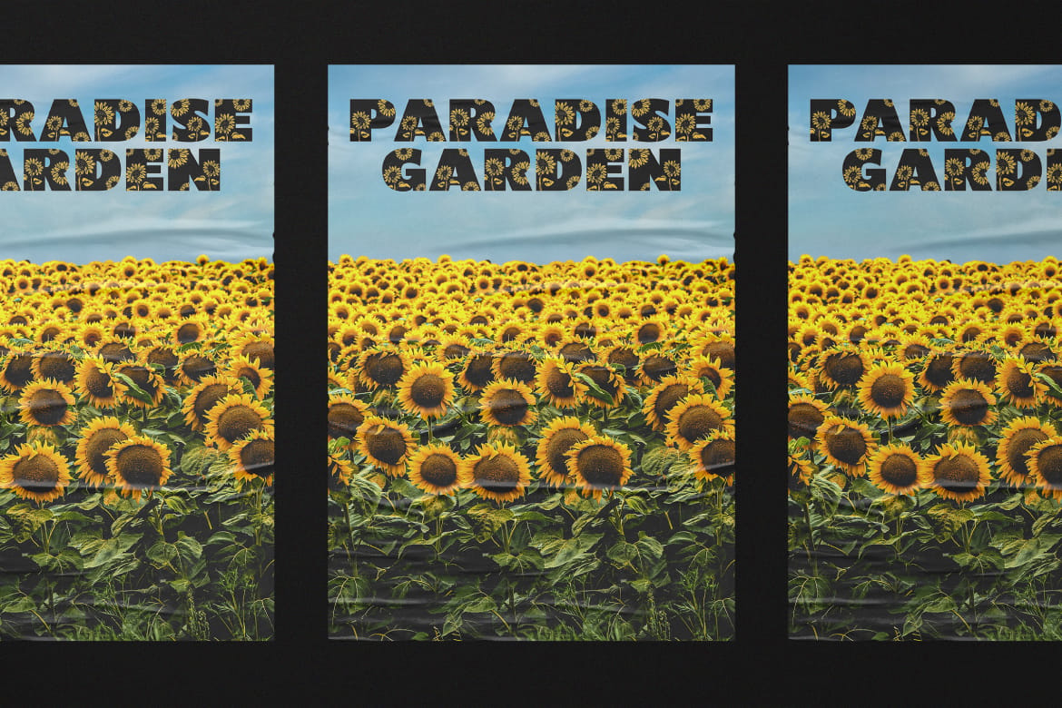Shining Youth – Display Font