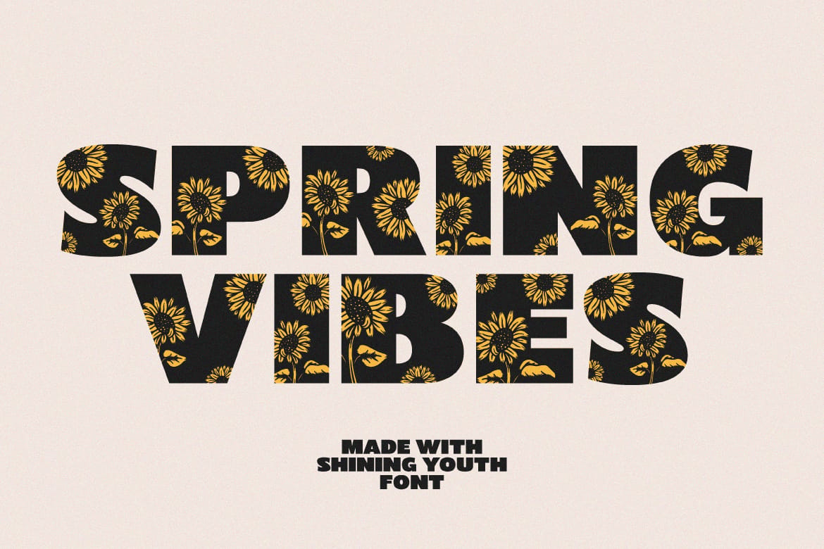Shining Youth – Display Font