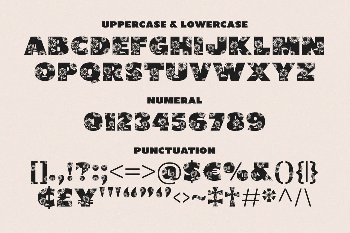 Shining Youth – Display Font