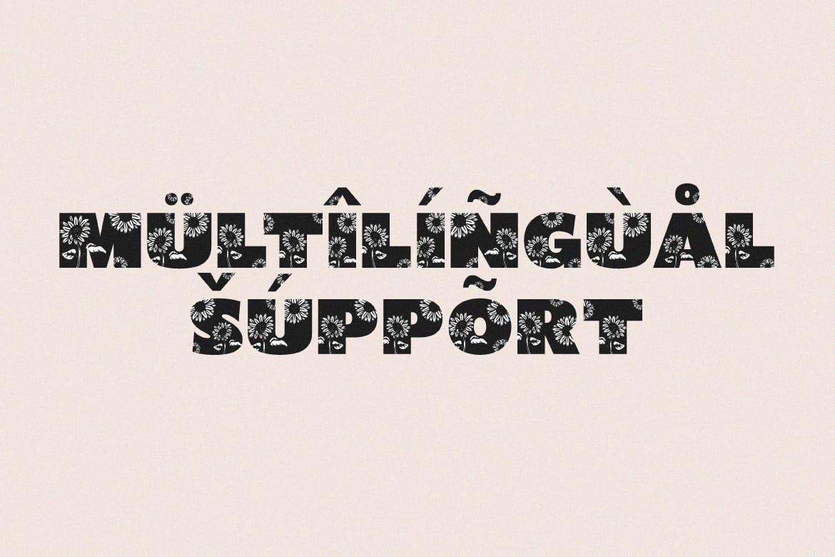 Shining Youth – Display Font