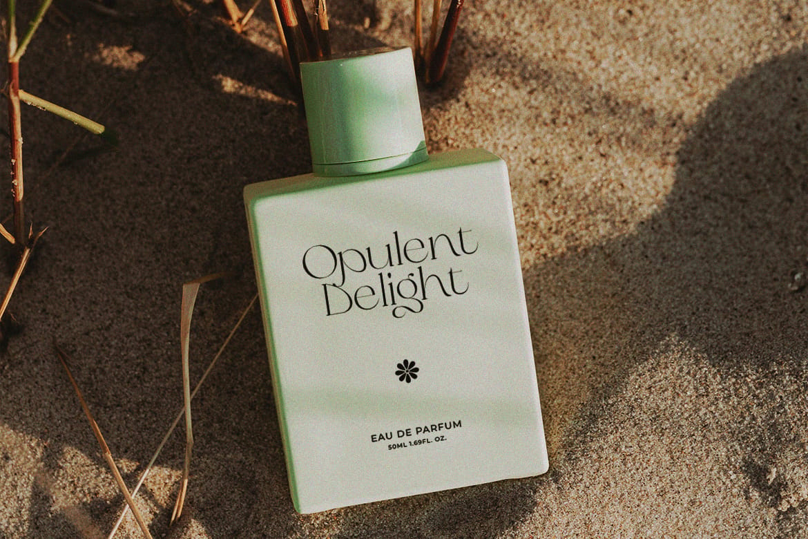 Olive & Citrus - Modern Serif