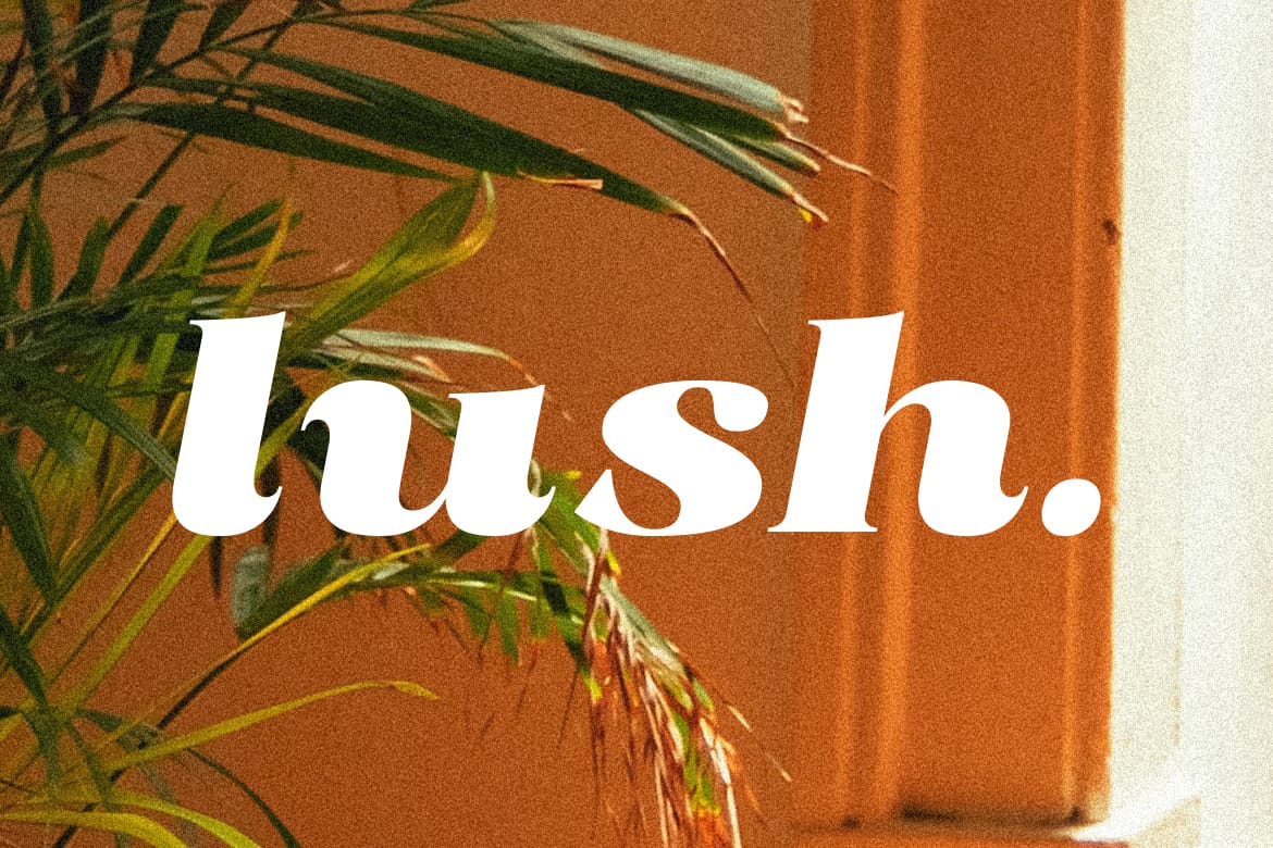 Radiant Charisma - Serif Family