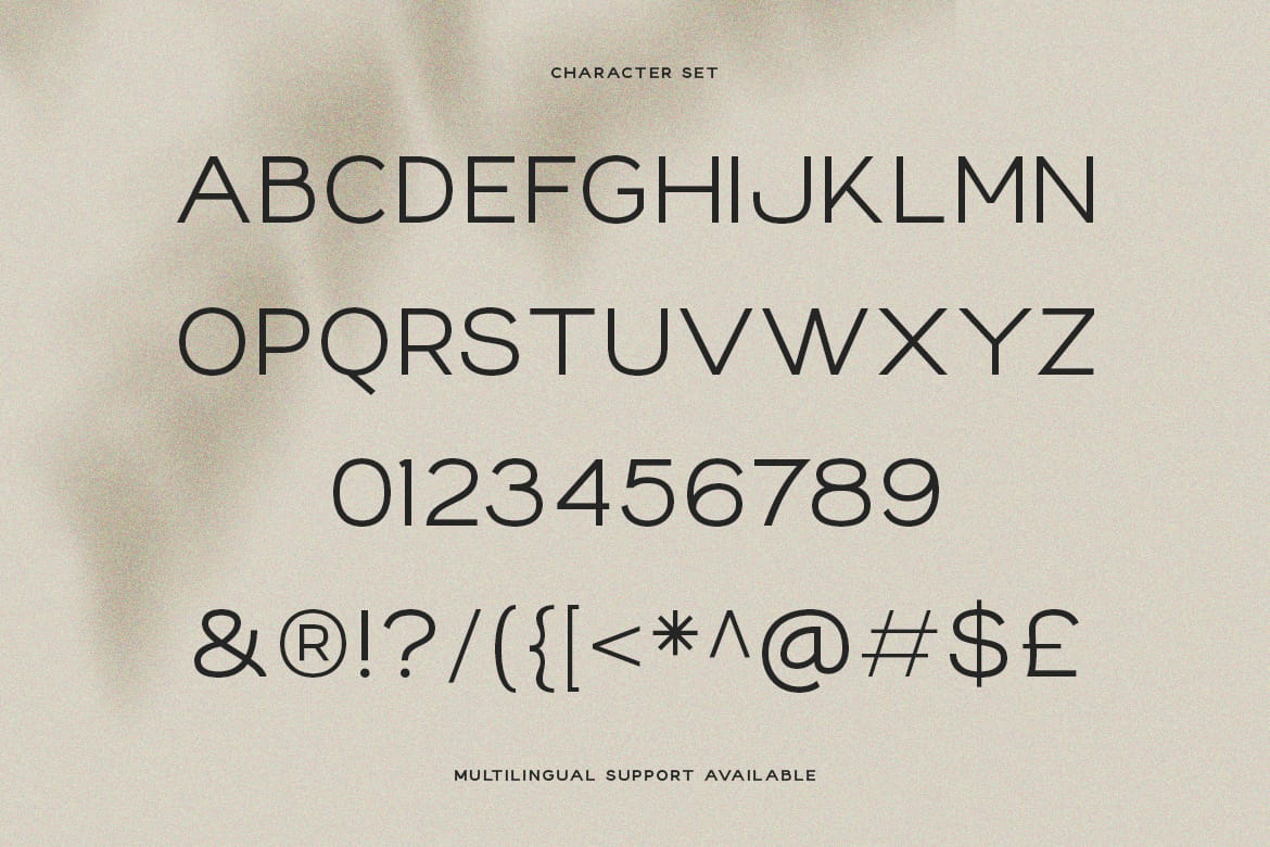 Loede - Clean Sans Family + Variable