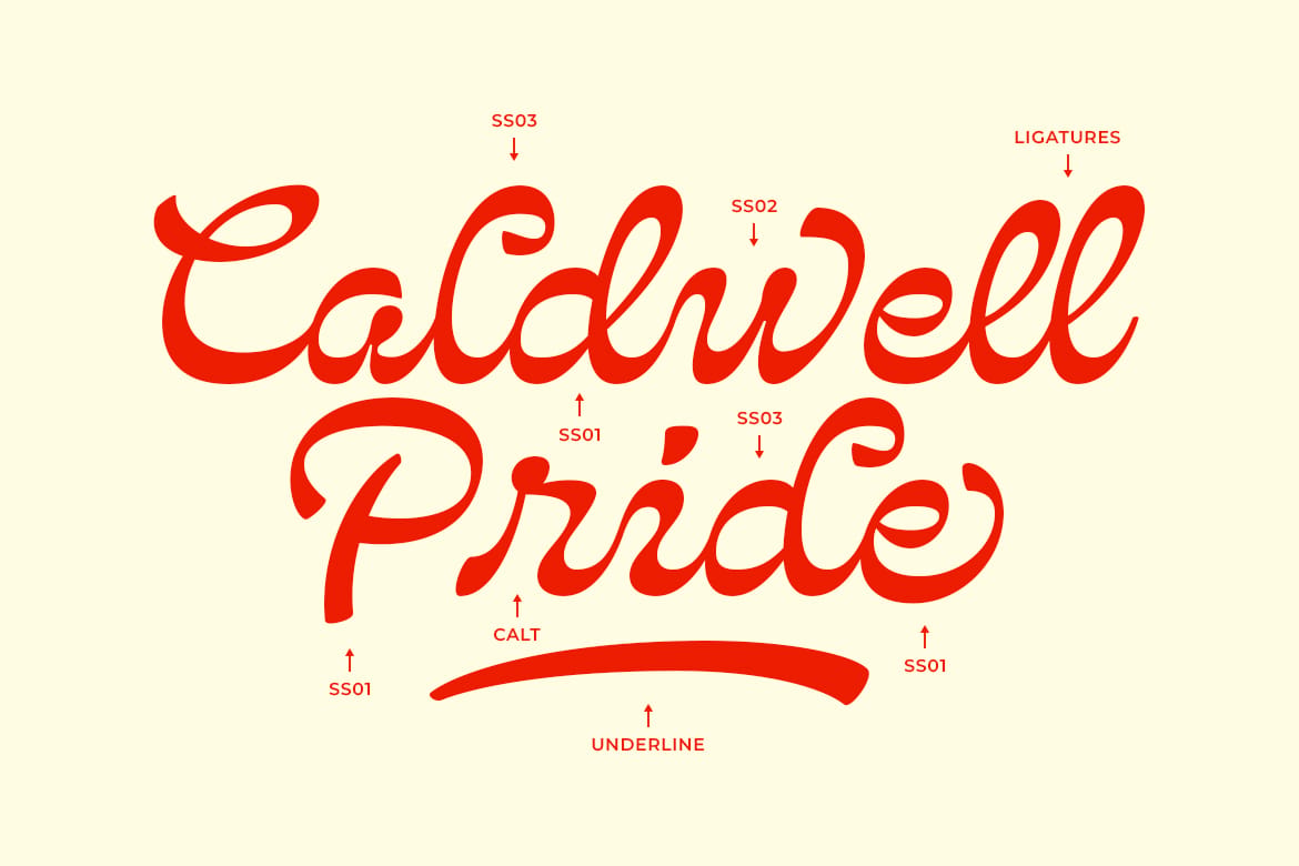 Nivillia - Bold Script Font