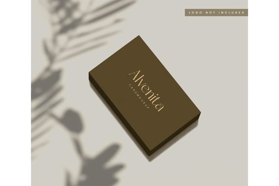Business card mockup